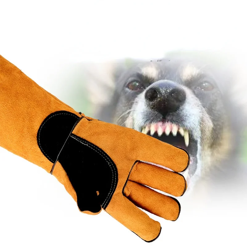 Leatherwork Training - Guanti per animali domestici Pelle di