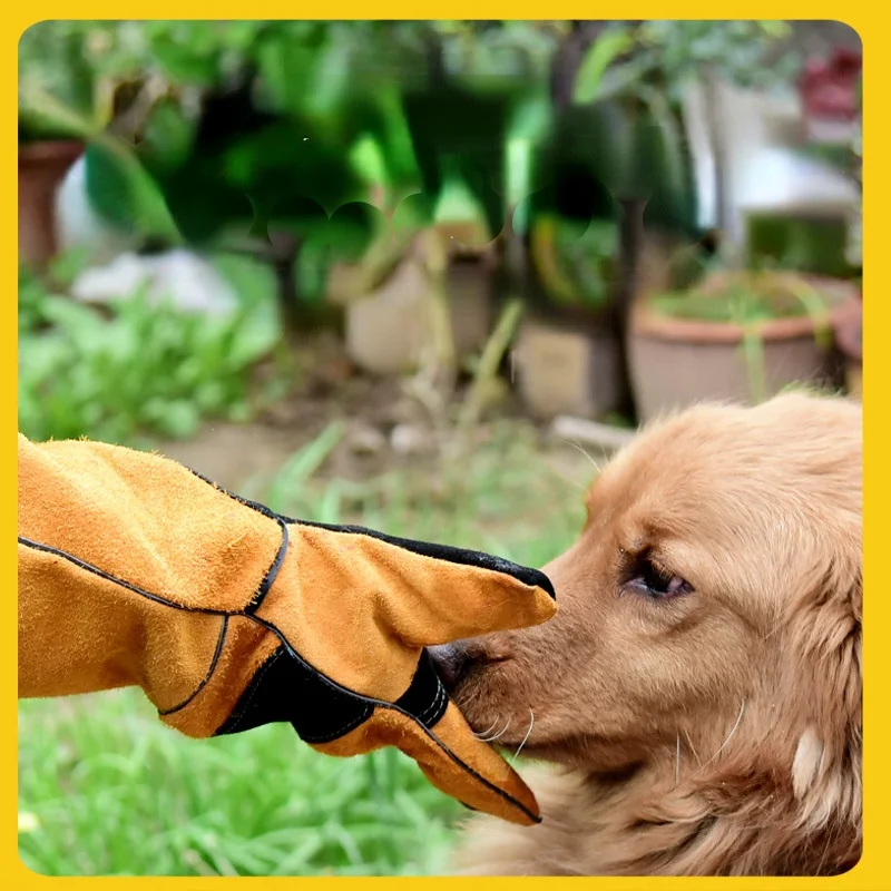 Guanti per animali domestici P - Leatherwork Training recensione e prezzo