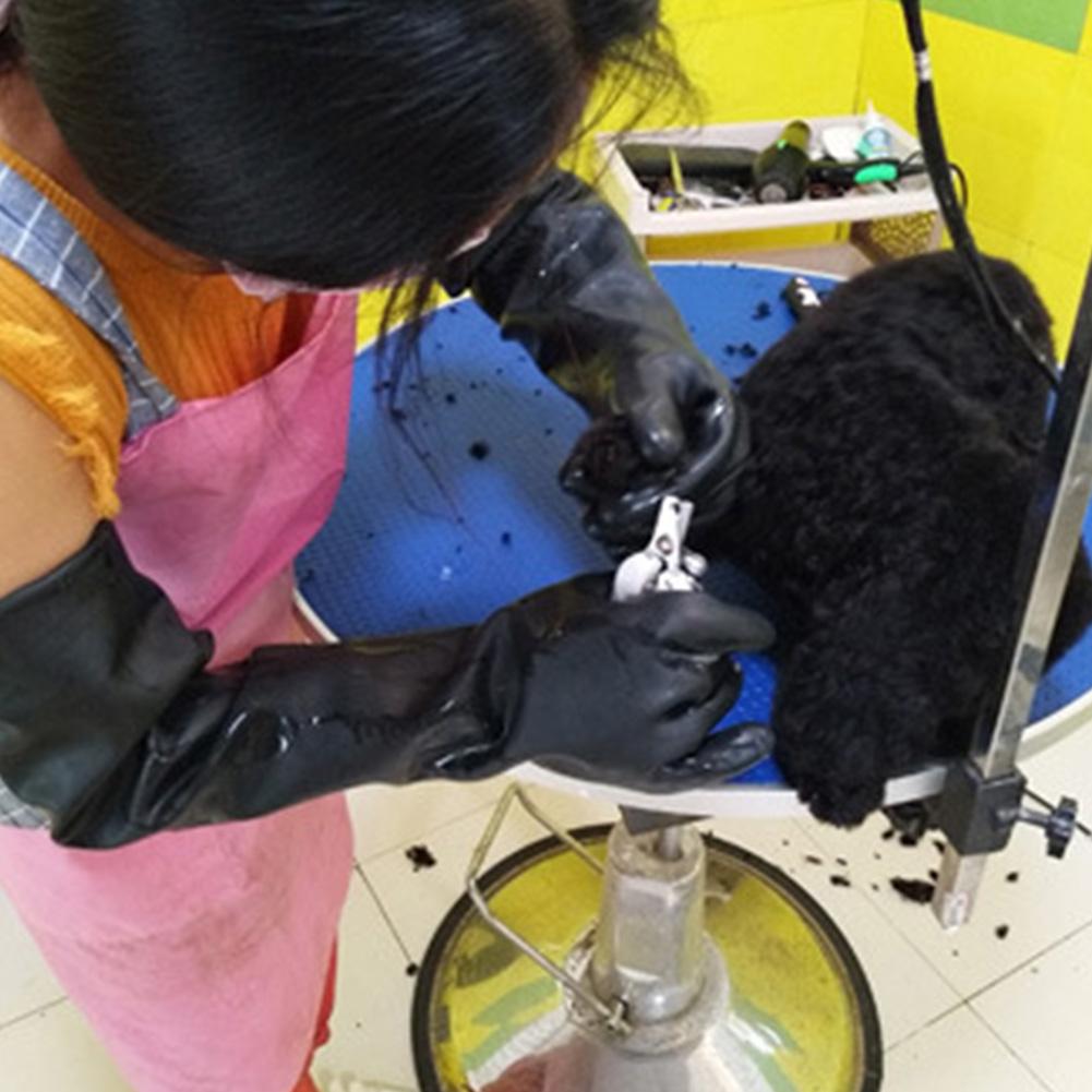 Guanti per animali domestici G - Leatherwork Training recensione e prezzo